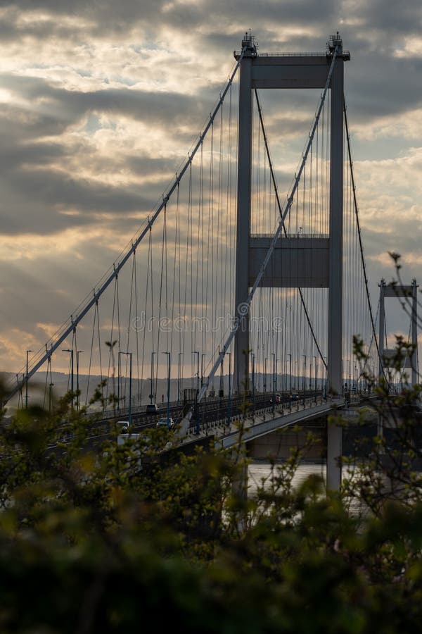 The sun sets behind a suspension bridge, casting a silhouette framed by foliage. The sun sets behind a suspension bridge, casting a silhouette framed by foliage