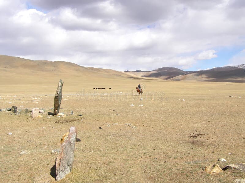 SAGSAY, MONGOLIA - 22 MAGGIO 2012: Pastore mongolo del cavallerizzo suo delle pecore nel deserto fotografia stock SAGSAY, MONGOLIA - 22 MAGGIO 2012: Pastore mongolo del cavallerizzo suo delle pecore nel deserto fotografia stock