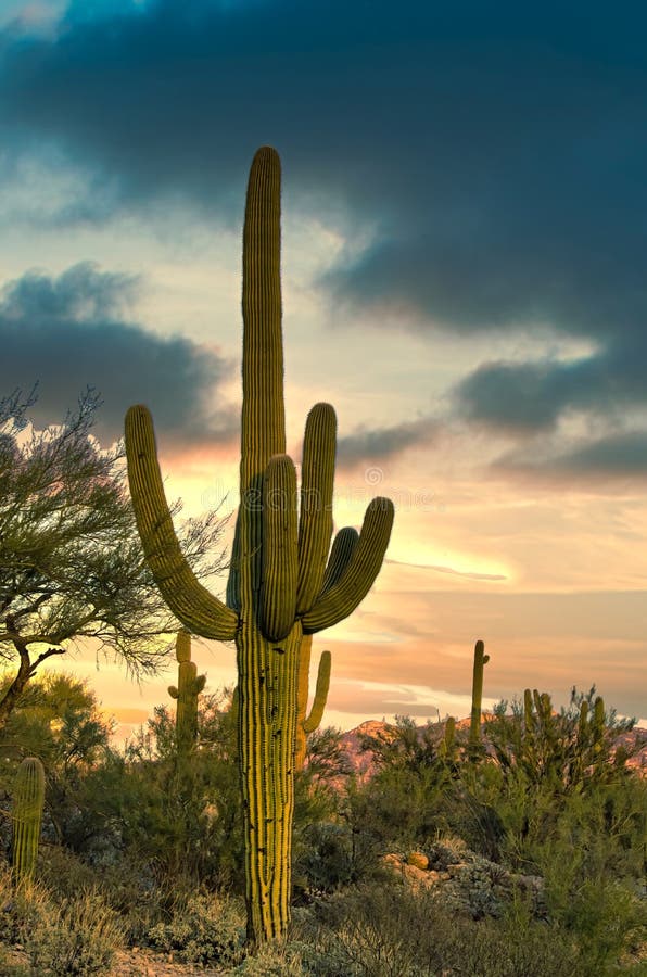 Arizona Sunset stock image. Image of clouds, desert, evening - 2112079