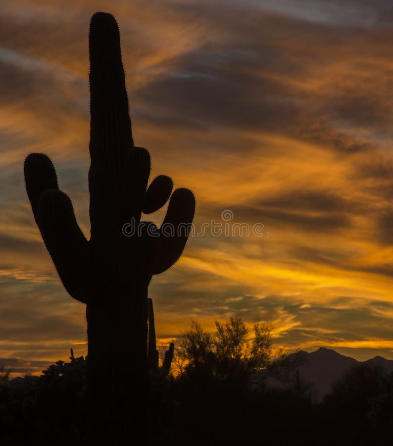 Arizona Scenery stock photo. Image of desert, mountain - 295074