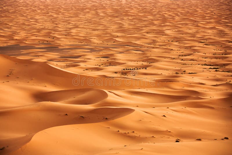 Sahara