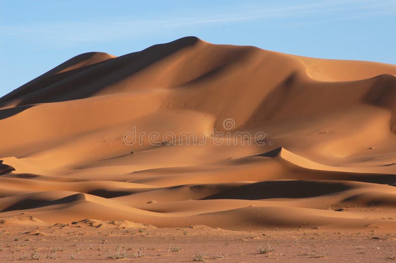 Download Sahara Desert stock photo. Image of explorer, exhausted - 457264