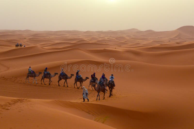 Sahara Desert