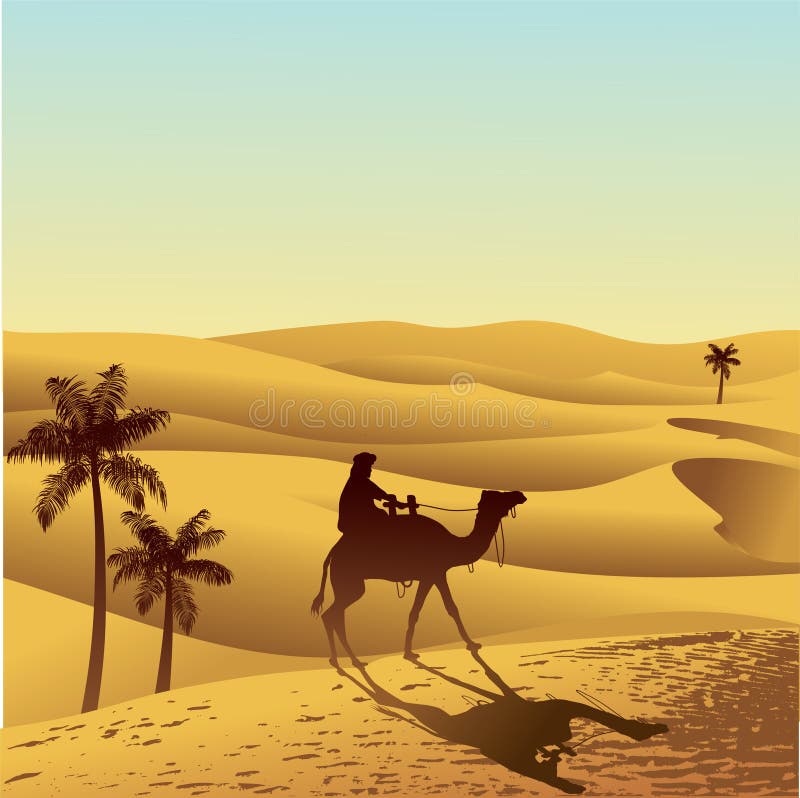 Sahara desert and camel