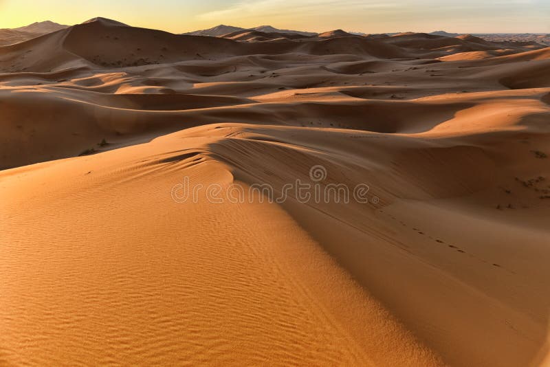 Sahara desert at sunrise, Morocco stock photography Sahara desert at sunrise, Morocco stock photography