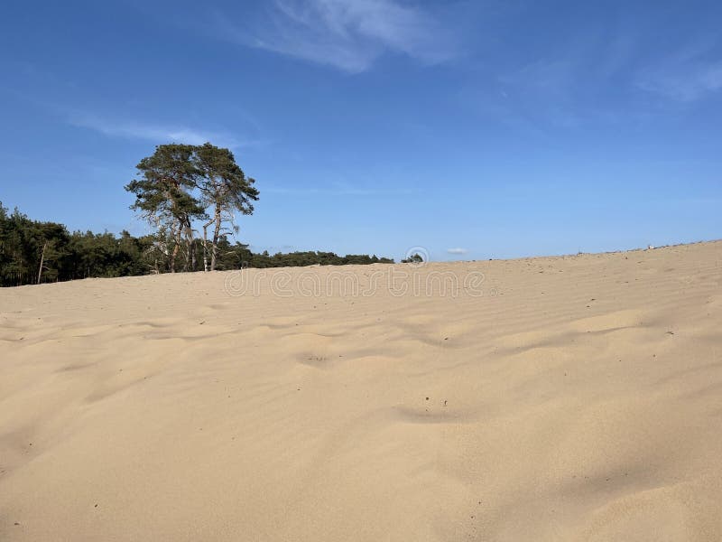 ONTDEK DE SAHARA VAN OMMEN visual data 3