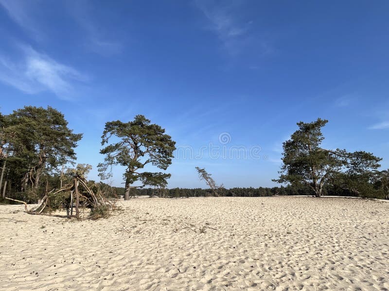 ONTDEK DE SAHARA VAN OMMEN visual data 2