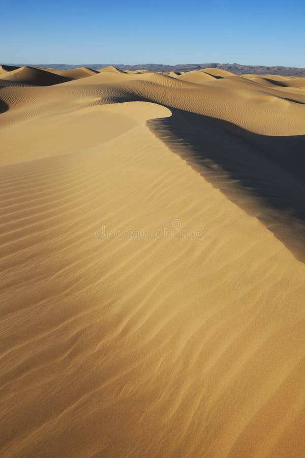 Sahara piaska diuny z jasnym niebieskim niebem.