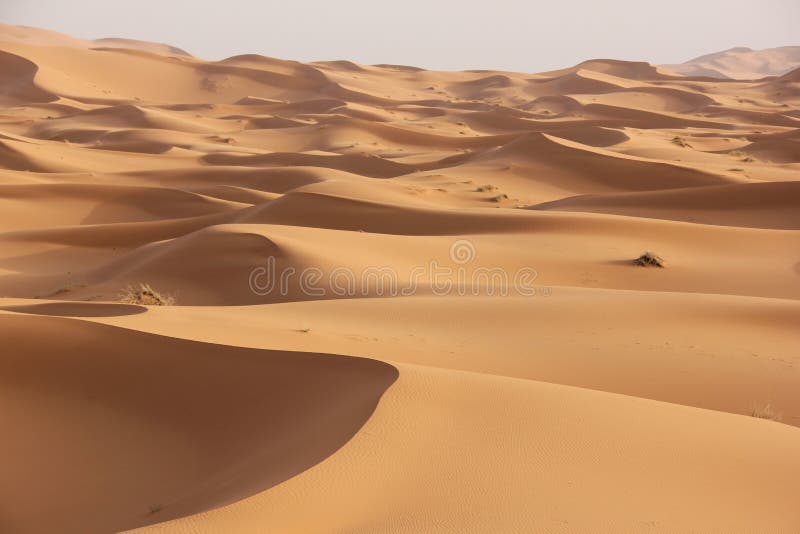 Sahara Wuste Stockfoto Bild Von Wuste Sahara