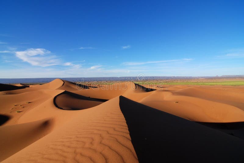 Sahara wiosna