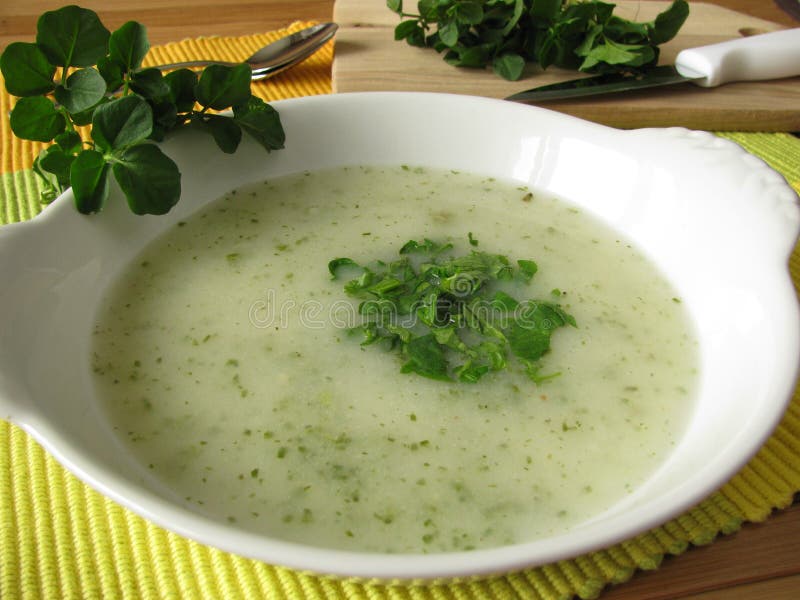 Sahnen Sie Suppe Mit Brunnenkresse Stockfoto - Bild von suppe, kräuter ... Sahnen Sie Suppe Mit Brunnenkresse Stockfoto - Bild von suppe, kräuter ...