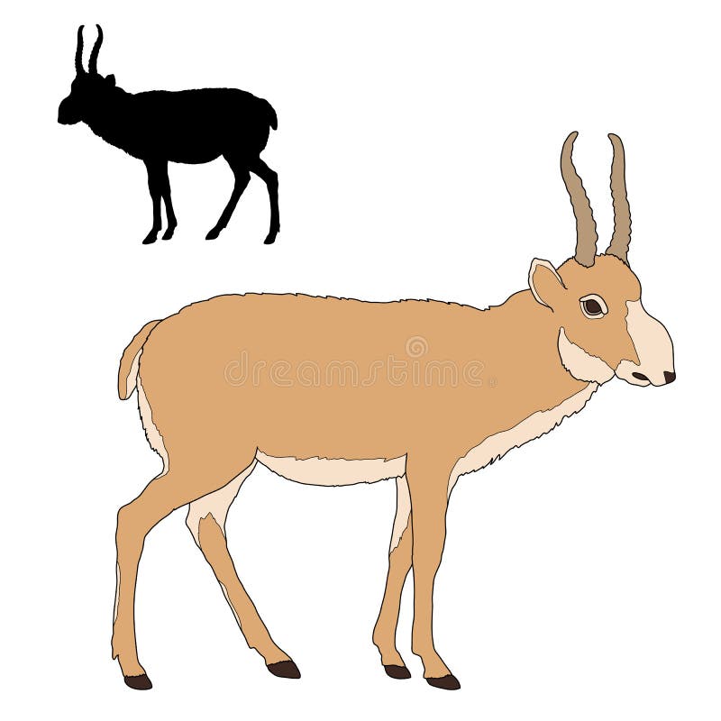 Download Saiga antelope silhouette stock vector. Illustration of color - 68676869