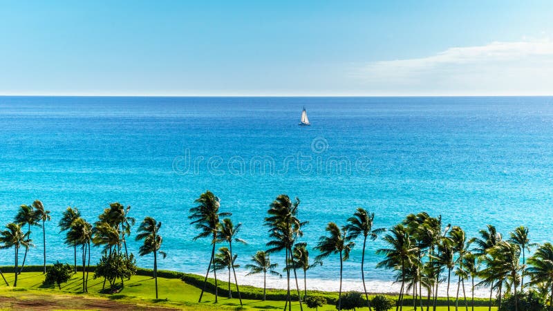 Sail Boat in the Pacific Ocean just off the coast at Ko Olina