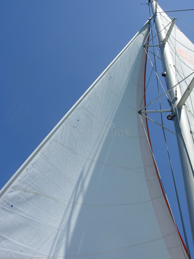 Sail of a catamaran