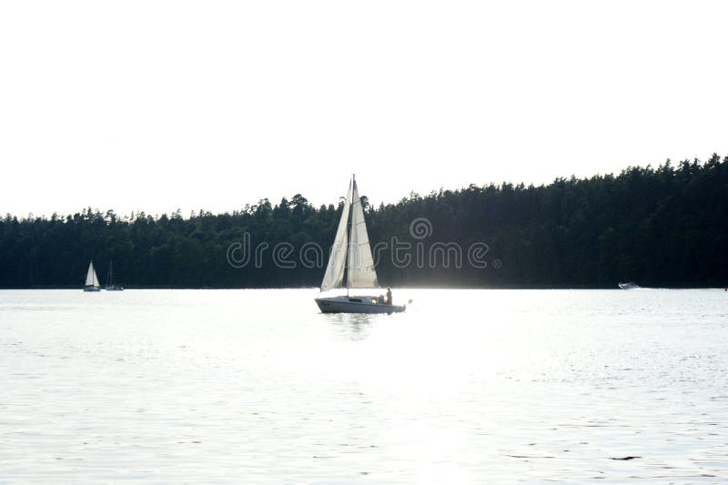 Sailboat Boat Floats on the Lake Stock Image Image of regatta