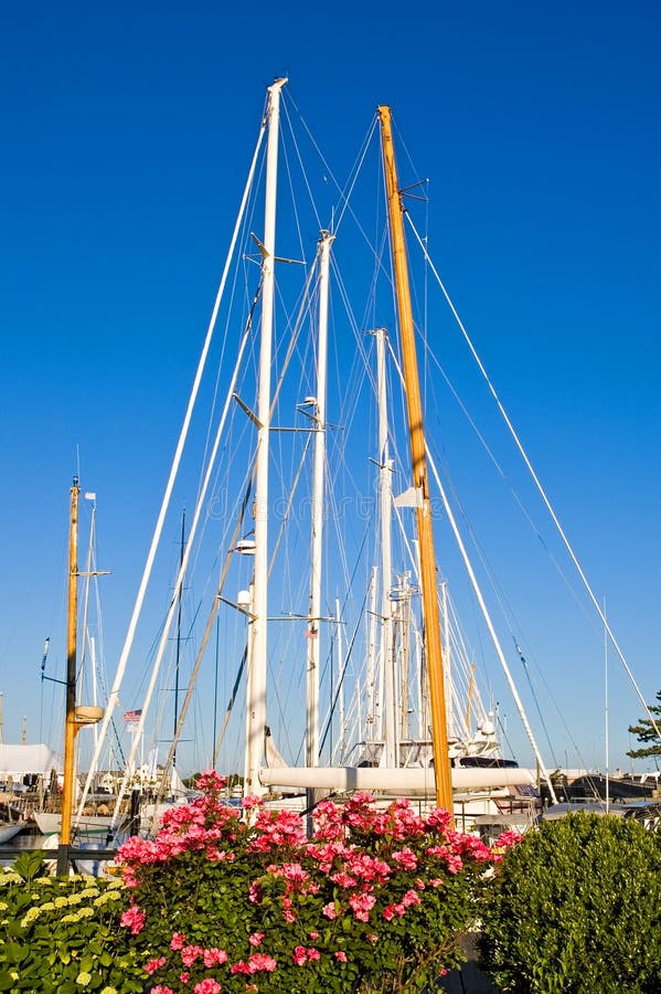 Newport Harbor stock photo. Image of resort, sailing, marina - 2693598
