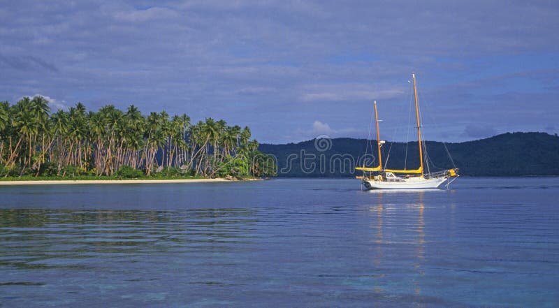 Sailboat and palm trees