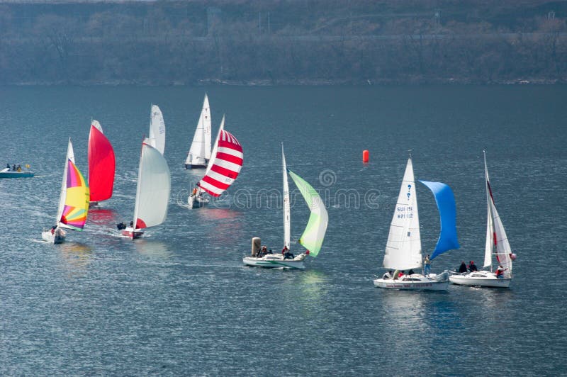 sailboats regatta