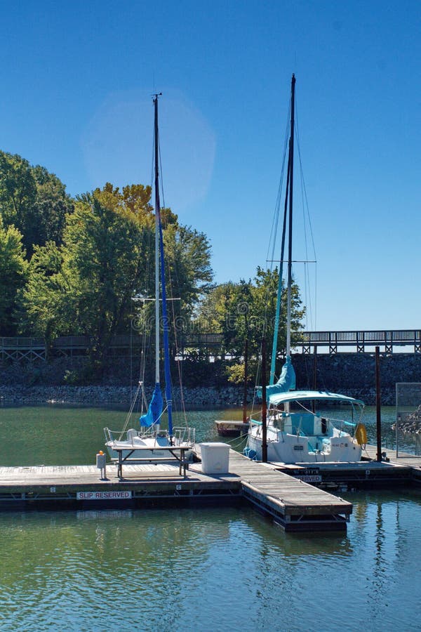 Sailboats in a marina