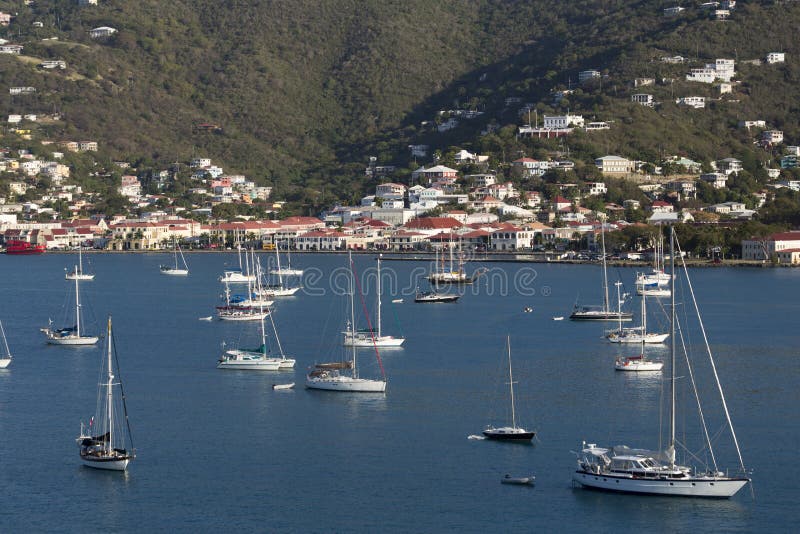 Sailboats Moored in Harbor