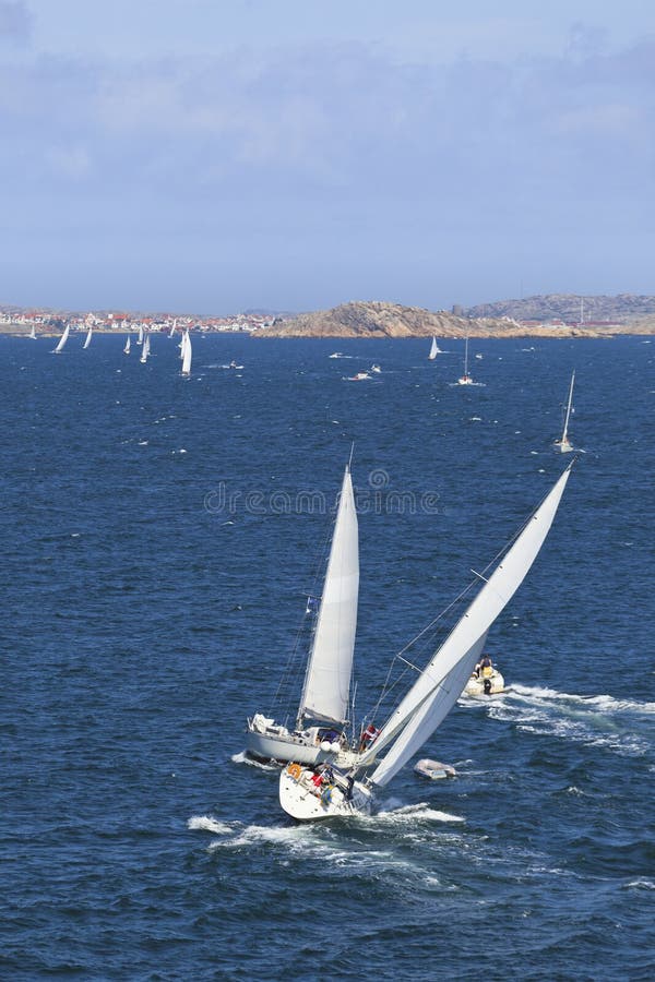 Sailboats on the sea