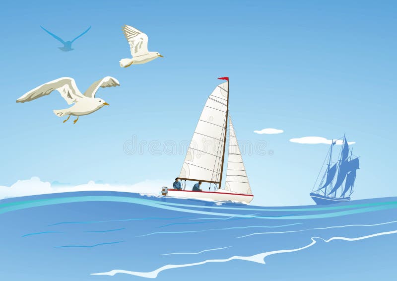 Sailboats and seagulls