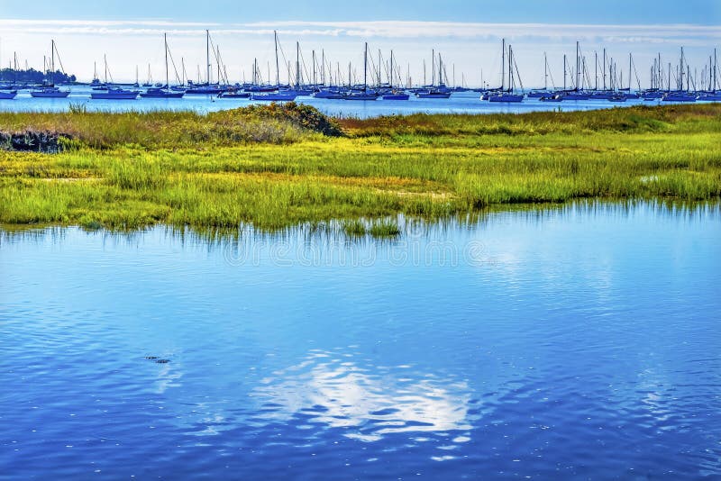 Sailboats Yachts Marsh Padanaram Harbor Dartmouth Massachusetts