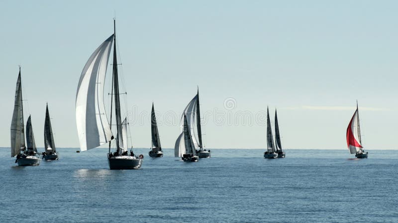 Sailing boat race in the bay of Cannes royalty free stock photo Sailing boat race in the bay of Cannes royalty free stock photo