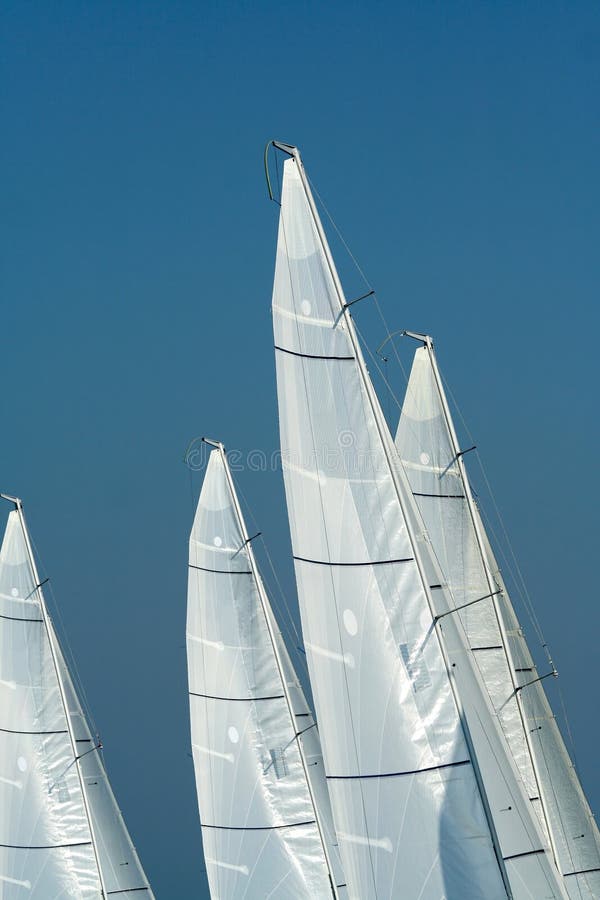 Sailing in Good Wind / sails background