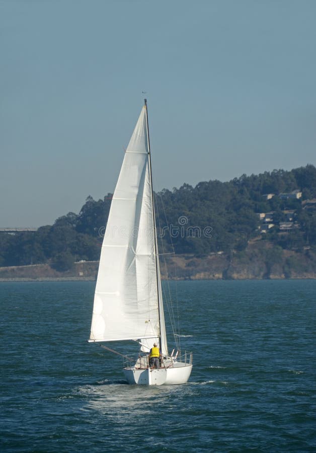 Sailing in the San Francisco Bay Stock Image Image of sailboat