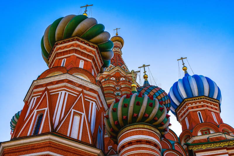 4 Best Dog Clippers for Thick Coats & Matted Hair