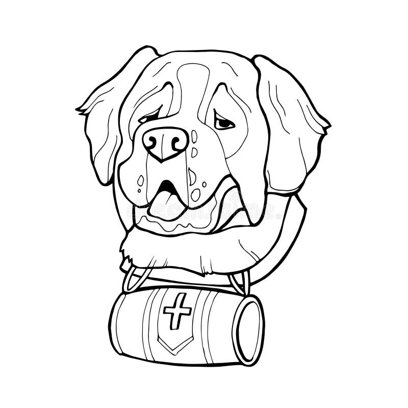 Download Saint Bernard Dog Stock Illustrations - 459 Saint Bernard ...