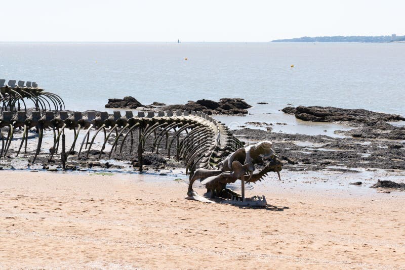 Esqueleto de cobra gigante é encontrado através do Google Maps