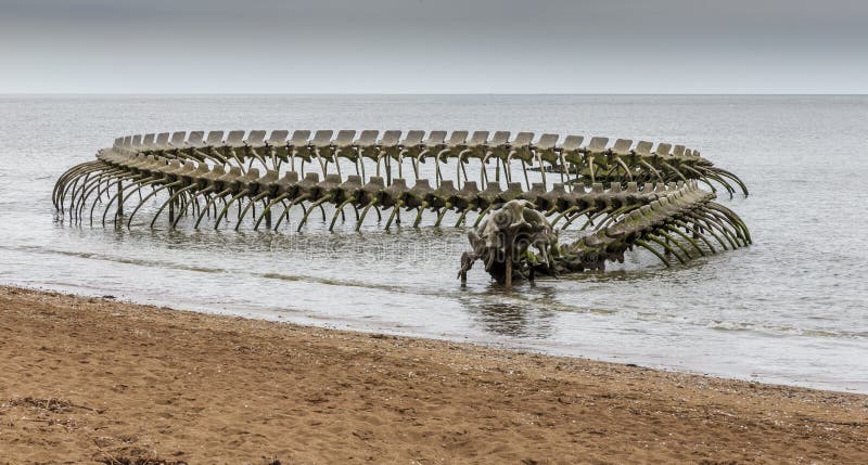 GIANT SNAKE SKELETON IN THE SEA OF FRANCE #Shorts 