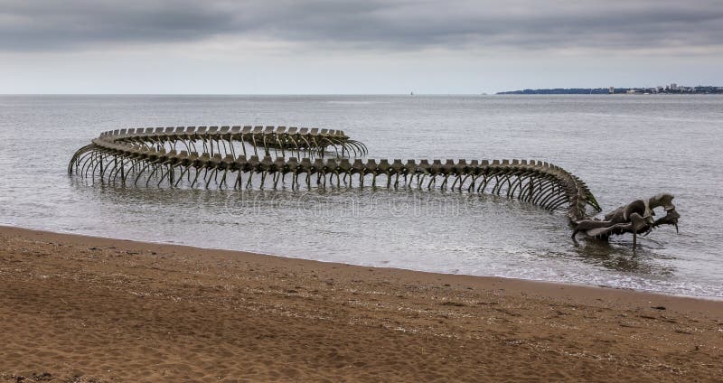 GIANT SNAKE SKELETON IN THE SEA OF FRANCE #Shorts 