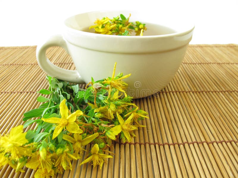 Saint John s wort tea stock image. Image of healing, herbalism 36809629