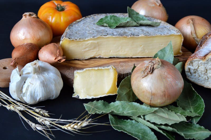Saint Nectaire cheese stock photo. Image of dairy, greed 234092172