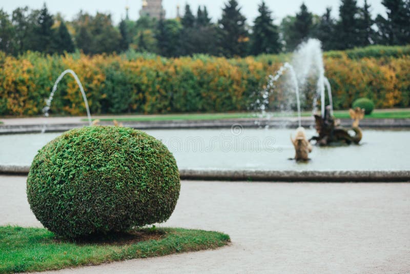Saint Petersburg, Russia - 18 September 2015 - fountaine in the upper garden in Peterhof royalty free stock images Saint Petersburg, Russia - 18 September 2015 - fountaine in the upper garden in Peterhof royalty free stock images