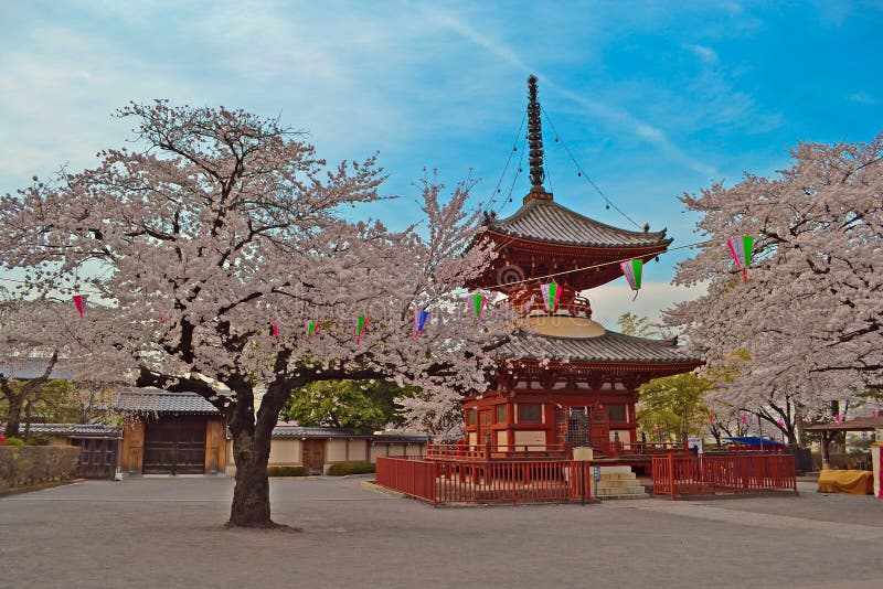 Saison de Sakura dans le temple image libre de droits Saison de Sakura dans le temple image libre de droits