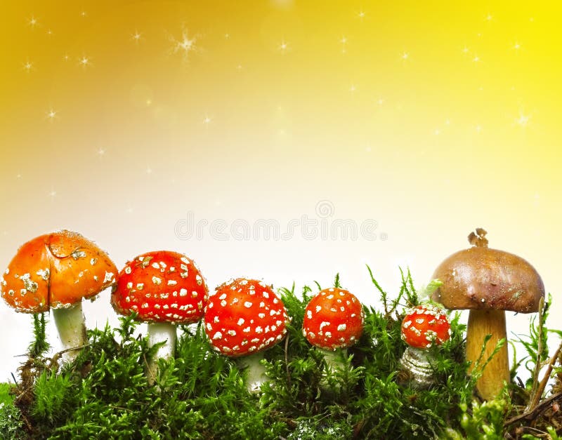 Saisonhintergrund mit Pilzen