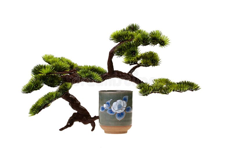 Sake and Bonsai