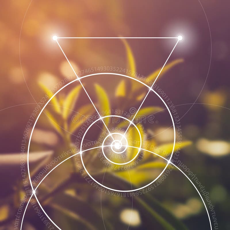 sakral geometri Matematik, natur och andlighet i natur Formeln av naturen vektor illustrationer sakral geometri Matematik, natur och andlighet i natur Formeln av naturen vektor illustrationer