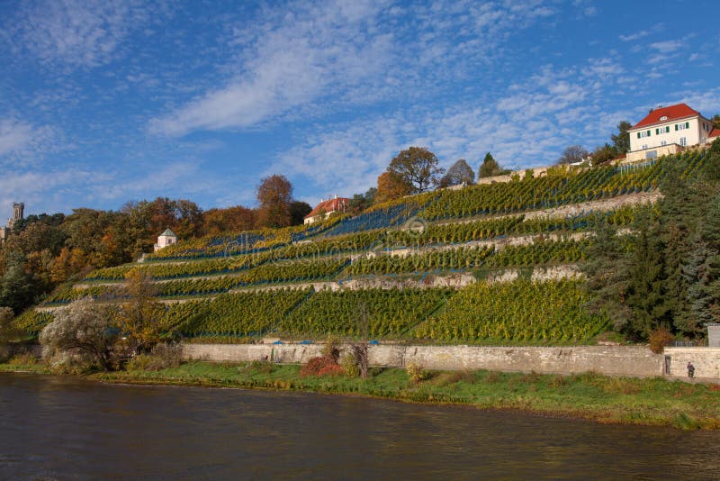 Saksische Wijnroute op Elbe royalty-vrije stock afbeelding Saksische Wijnroute op Elbe royalty-vrije stock afbeelding