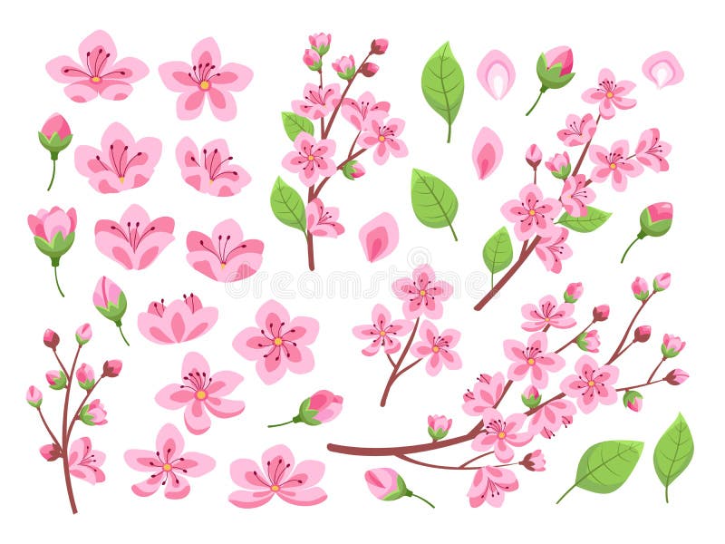Sakura blossom. aziatische kersenperzikbloemen. alleenstaande amandeltuinen of parkplanten. roze floral petal