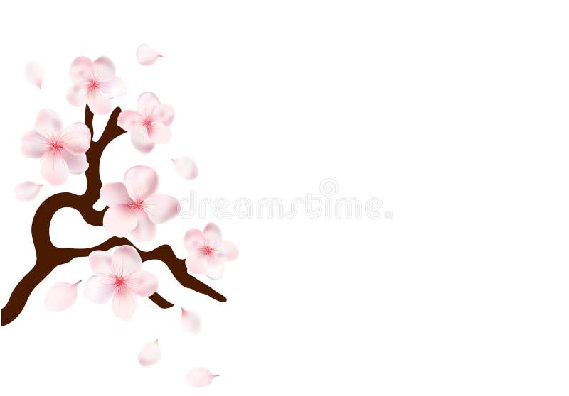 Sakura Japan blommar den körsbärsröda filialen med att blomma vektorillustrationen vektor illustrationer Sakura Japan blommar den körsbärsröda filialen med att blomma vektorillustrationen vektor illustrationer