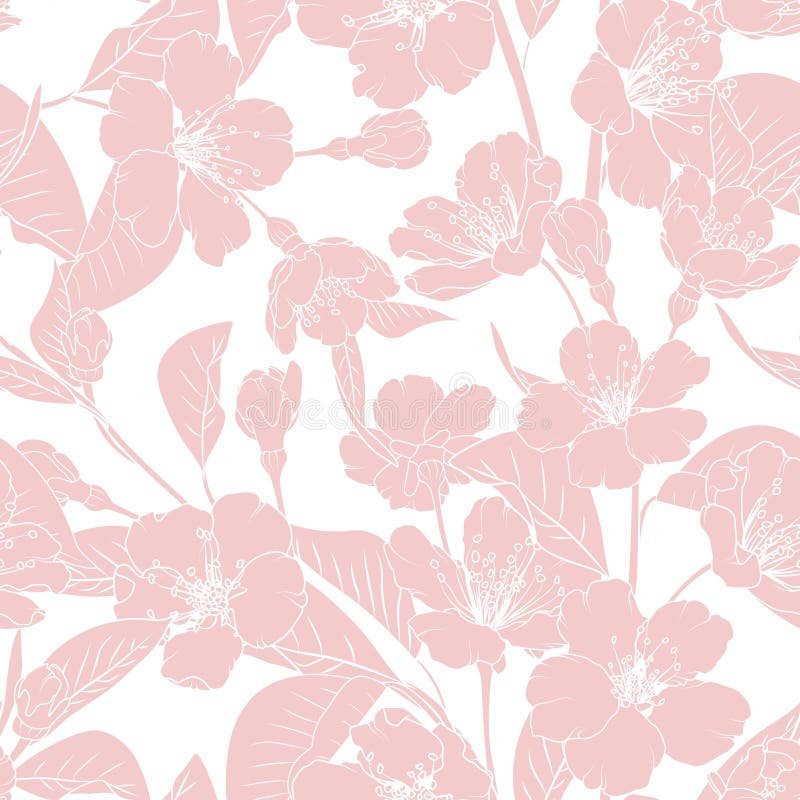 Sakura japanese chinese cherry tree spring flowers bloom blossom seamless pattern. Pink on white background.