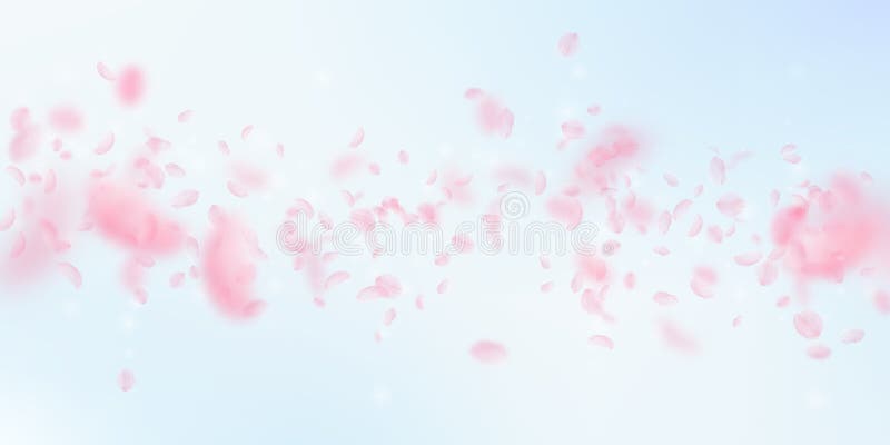 Sakura Petals Falling Down. Romantic Pink Flowers Falling Rain Stock ...