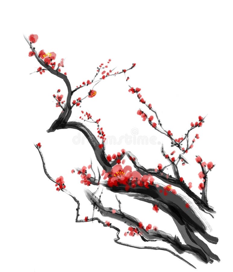 Sakura, pintura da escova do chinês da ameixa da flor de cerejeira ilustração stock Sakura, pintura da escova do chinês da ameixa da flor de cerejeira ilustração stock