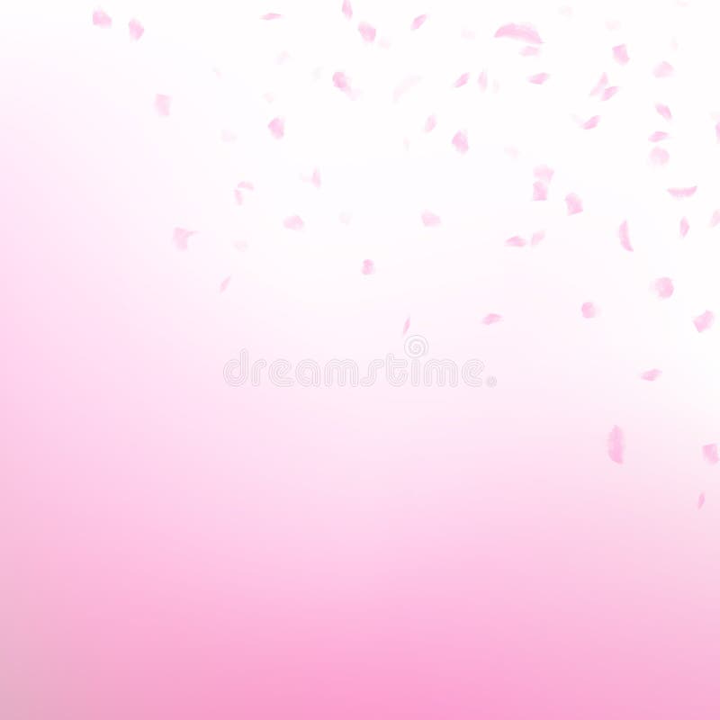 Sakura płatki rozpraszają spadać, akwarela atramentu artystyczny rozmyty te ilustracji Sakura płatki rozpraszają spadać, akwarela atramentu artystyczny rozmyty te ilustracji
