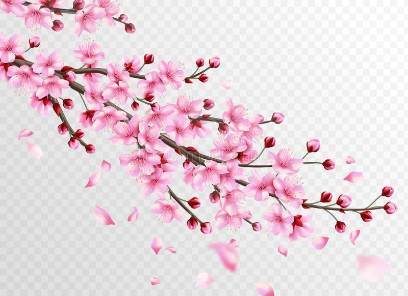 Sakura realista Hermosas ramas sakura con flores rosas y pétalos en caída, cereza japonesa floral romántica